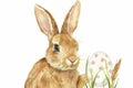 Happy easter Vibrant Eggs Easter joy Basket. White christian faith card Bunny glowing. Sunlight background wallpaper