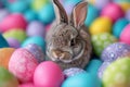 Happy easter warren Eggs Brighten Basket. White alleluia Bunny easter lamb. Carnival background wallpaper Royalty Free Stock Photo