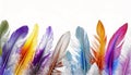 Different colorfful beautiful feathers on white background with copy space