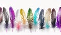 Different colorfful beautiful feathers on white background with copy space Royalty Free Stock Photo