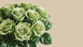 Beautiful bouquet of green roses on beige background with copy space