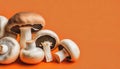 Fresh mushrooms on orange background with copy space