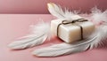 White soap bar and feathers on pink background with copy space Royalty Free Stock Photo