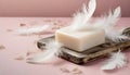 White soap bar and feathers on pink background with copy space Royalty Free Stock Photo