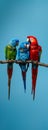 Harmony in Color: Trio of Araras Perched on a Branch