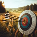 Archery target sits in field with several arrows making their mark Royalty Free Stock Photo