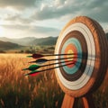 Archery target sits in field with several arrows making their mark Royalty Free Stock Photo