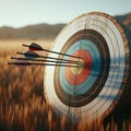 Archery target sits in field with several arrows making their mark Royalty Free Stock Photo