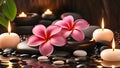 Spa setting with pink tropical plumeria flowers, candles, stones and a reflective water surface. Royalty Free Stock Photo