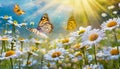 Butterflies fluttering over a field of sunlit daisies on a warm summer day, captured in high fidelity Royalty Free Stock Photo