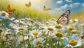Butterflies fluttering over a field of sunlit daisies on a warm summer day, captured in high fidelity Royalty Free Stock Photo