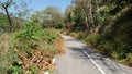 Vertical path of asphalt road and curve ahead. Royalty Free Stock Photo