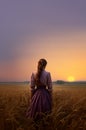 Historical young early american pioneer woman in a purple dress and ponytail overlooking a vast sunset field. Royalty Free Stock Photo