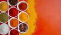 Spices used in Cooking - Space for text Royalty Free Stock Photo