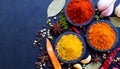 Spices used in Cooking - Space for text Royalty Free Stock Photo