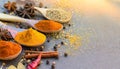 Spices used in Cooking - Space for text Royalty Free Stock Photo