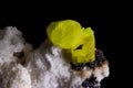 Rare sulfur mineral piece: a gem in collectors\' showcases Royalty Free Stock Photo
