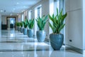 Modern office hallway with decorative plants Royalty Free Stock Photo