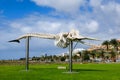 Morro Jable lighthouse and whale skeleton on the island of Fuerteventura in the Canary Islands.