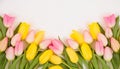 Pink Yellow Spring Tulips Flower Border. A background border Generated image