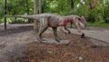 Neovenator dinosaur sculpture on display at the Fort Worth Botanic Garden in Texas. Royalty Free Stock Photo