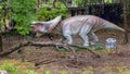 Triceratops dinosaur sculpture on display at the Fort Worth Botanic Garden in Texas. Royalty Free Stock Photo