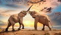 African Elephants fighting Royalty Free Stock Photo
