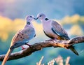 Lovebirds on the Bough: Turtle Doves Perched on a Branch