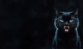 Cute black evil kitten with glowing ethereal blue rim light. Black background Royalty Free Stock Photo