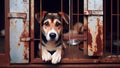 Sad stray homeless dog in an animal shelter cage. An old rusty cage cage in a homeless animal shelter. Generated AI.