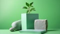 AI-generated 3D Minimal Display Podiums with Green Plant and Stones on Green Background