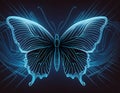 Butterfly with blue and black line effect. Butterfly insect effect line illustration Royalty Free Stock Photo