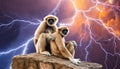 Generated image of Hunan gibbon monkeys Royalty Free Stock Photo