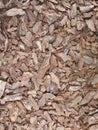 Mulch from various tree barks is used in gardening as decoration under trees and shrubs or as fertilizer. Royalty Free Stock Photo