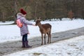 Child and young deer, winter forest Royalty Free Stock Photo