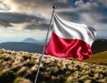 Poland flag waving on the background of the sea and sky. Royalty Free Stock Photo