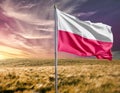 Poland flag waving on the background of the sea and sky. Royalty Free Stock Photo