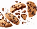 Chocolate chip cookies isolated on white background, clipping path included. Royalty Free Stock Photo