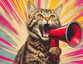 Cat shouting through a megaphone. Pop art retro style. Royalty Free Stock Photo