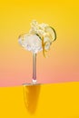 Homemade fresh elderflower lemonade garnished with lemon peel and a blooming branch Royalty Free Stock Photo