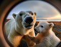 Selfie with a Polar Bear Cub: A Unique Lens Perspective Royalty Free Stock Photo
