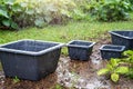 in rainy weather containers wait for rain to collect water. Royalty Free Stock Photo