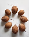 Coconuts on a white background. Top view, flat lay Royalty Free Stock Photo