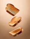 Flying toast bread isolated on brown background. Toast bread flying in the air Royalty Free Stock Photo