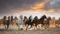 Horses close up portrait. Horse herd run gallop in desert dust against dramatic sky Royalty Free Stock Photo