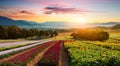 Regenerative farming With Rows Of Crops And Mountains In The Background At Sunrise Royalty Free Stock Photo