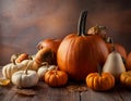Different kind of pumpkins closeup. Halloween and autumn background Royalty Free Stock Photo