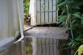 High flood level nearly flows into the gate of the house, with stagnant water that won\'t drain Royalty Free Stock Photo