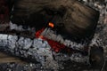 Flame Wood Fire ash embers Royalty Free Stock Photo