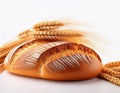 Wheat bread and Wheat. A wheat bread and shock of wheat on a white background Royalty Free Stock Photo